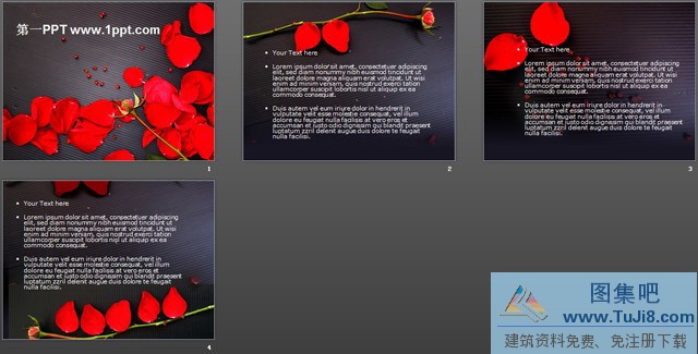 爱情PPT模板,爱情红玫瑰PPT模板,玫瑰PPT模板,红色PPT模板,爱情红玫瑰PPT模板下载