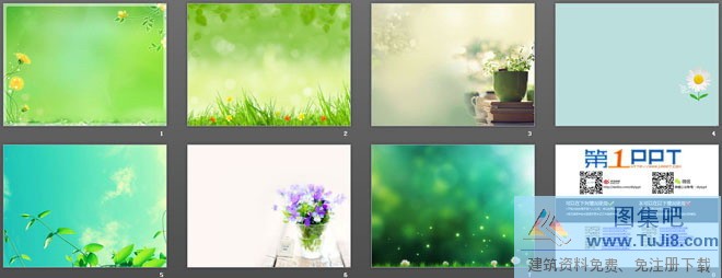 7张淡雅植物PPT背景图片,植物背景图片,淡雅PPT模板,7张淡雅植物PPT背景图片