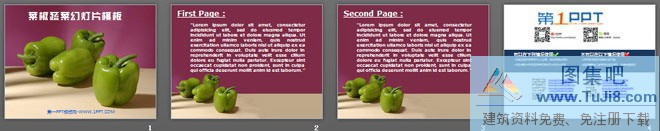 棕色PPT模板,植物PPT模板,紫色菜椒背景的植物PPT模板,蔬菜PPT模板,紫色菜椒背景的植物幻灯片模板