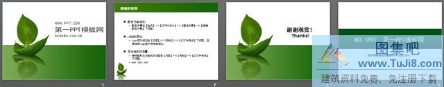 树叶PPT模板,植物PPT模板,简洁PPT模板,简洁树叶背景植物PPT模板,简洁树叶背景植物PPT模板下载