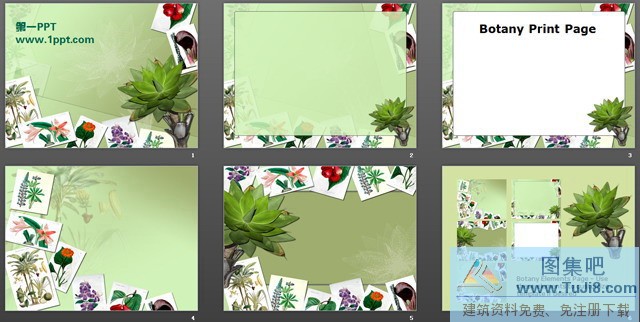 星空PPT模板,植物PPT模板,植物相册PPT模板,炫彩PPT模板,照片PPT模板,花朵PPT模板,植物相册PPT模板下载