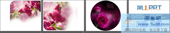 植物背景图片,爱情PPT模板,红色PPT模板,红色花海PPT背景图片,背景图片PPT模板,花卉PPT模板,红色花海PPT背景图片