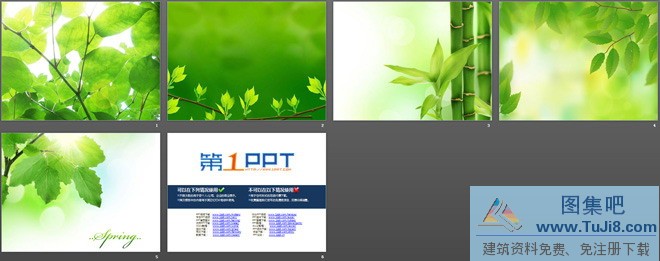 树叶PPT模板,椅子PPT模板,植物背景图片,背景图片PPT模板,阳光PPT模板,阳光枝叶植物PPT背景图片,阳光枝叶植物PPT背景图片