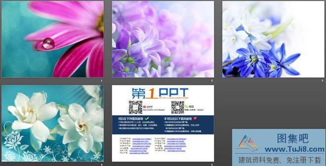 一组紫色鲜花PPT背景图片,棕色PPT模板,植物背景图片,淡雅PPT模板,花儿PPT模板,花卉PPT模板,花朵PPT模板,一组紫色鲜花幻灯片背景图片下载