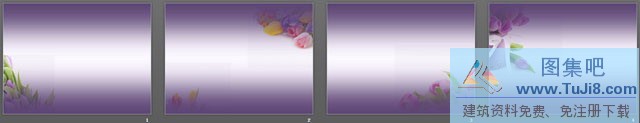 一组紫色郁金香PPT背景图片,循环PPT模板,棕色PPT模板,植物背景图片,淡雅PPT模板,花卉PPT模板,花朵PPT模板,一组紫色郁金香PPT背景图片下载