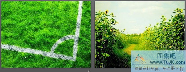 向日葵PPT模板,植物背景图片,球场一角PPT背景图片,草地PPT模板,足球场PPT模板,钞票PPT模板,球场一角PPT背景图片