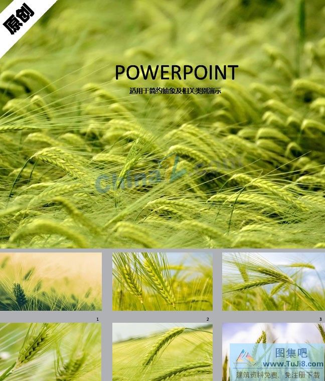 PPT模板免费下载,ppt背景图片免费下载,农产品PPT模板,竹子PPT模板,马术PPT模板,绿色麦穗ppt背景图片