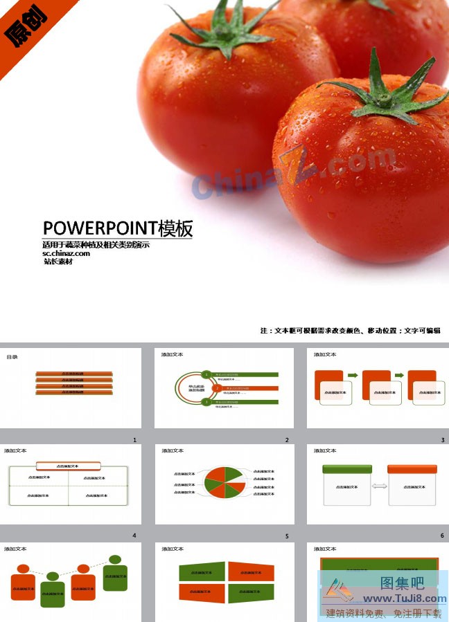 PPT模板,PPT模板免费下载,免费下载,蕃茄栽培技术ppt模板下载