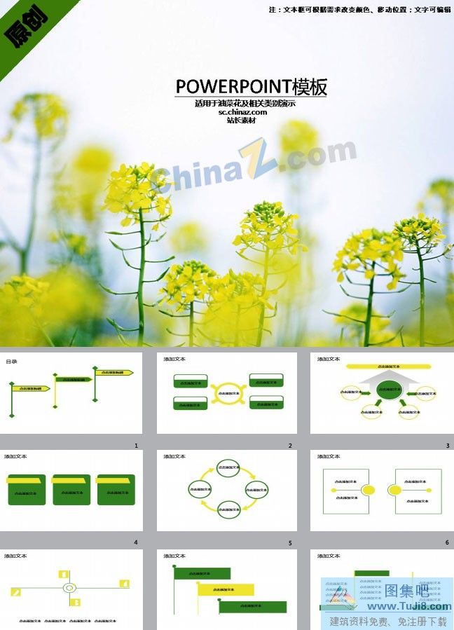 PPT模板,PPT模板免费下载,免费下载,油菜花景点ppt模板下载
