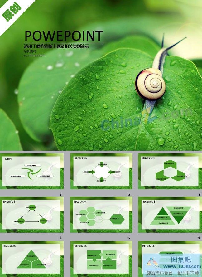 PPT模板,PPT模板免费下载,免费下载,蜗牛与绿叶ppt背景图片